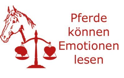 Pferde können menschliche Emotionen lesen