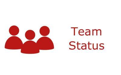 Team-Status